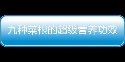 九种菜根的超级营养功效