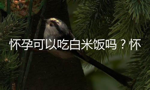 怀孕可以吃白米饭吗？怀孕吃什么比较好