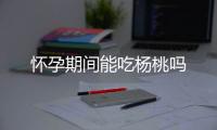 怀孕期间能吃杨桃吗