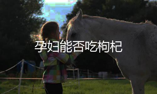 孕妇能否吃枸杞