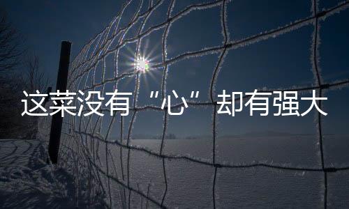 这菜没有“心”却有强大滋补功效