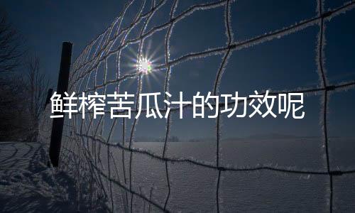 鲜榨苦瓜汁的功效呢